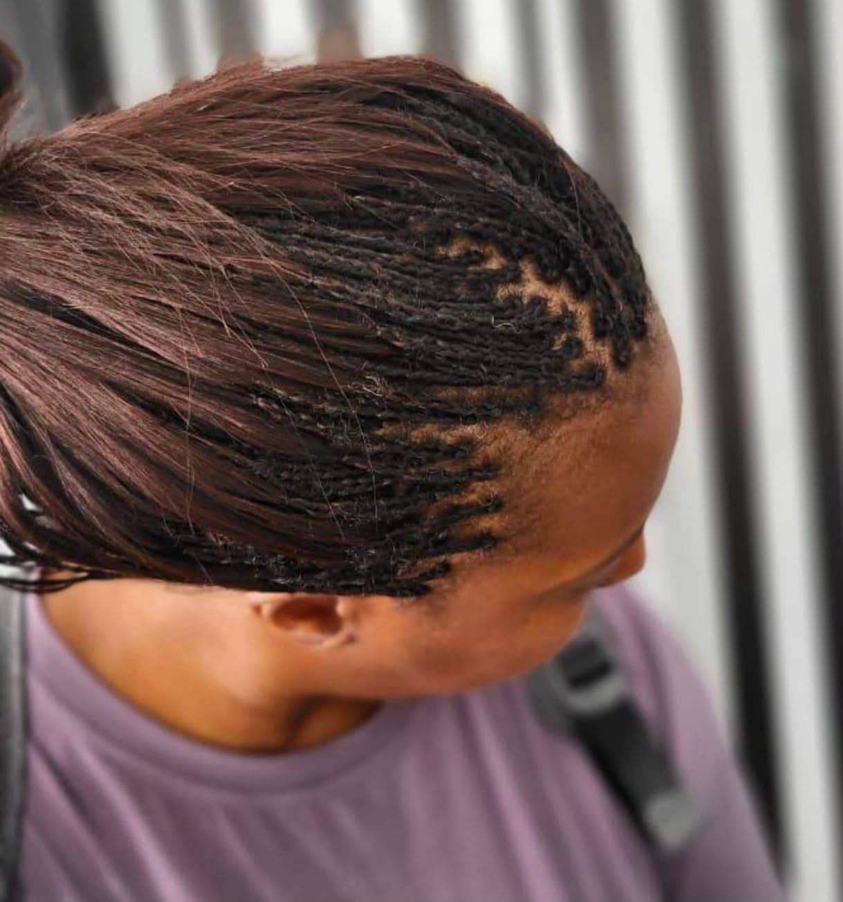 Fine micro braids showing detailed parting at the crown
